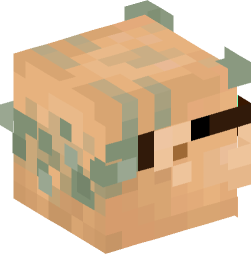 Minecraft head — People