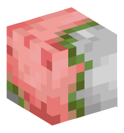 Minecraft head — Monsters