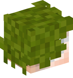 Minecraft head — People