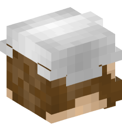 Minecraft head — People