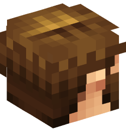 Minecraft head — People