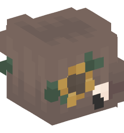 Minecraft head — People