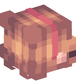 Minecraft head — People