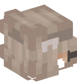 Minecraft head — People