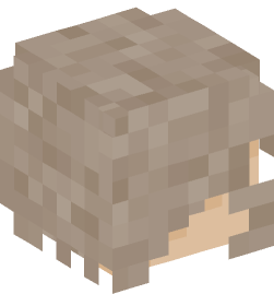 Minecraft head — People