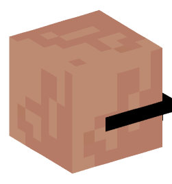 Minecraft head — Creatures