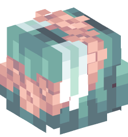 Minecraft head — People