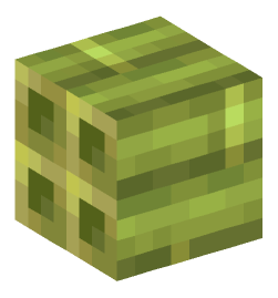 Minecraft head — Blocks