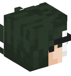 Minecraft head — People