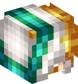 Minecraft head — People