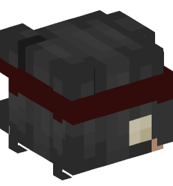 Minecraft head — People