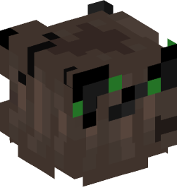 Minecraft head — People