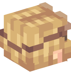 Minecraft head — People