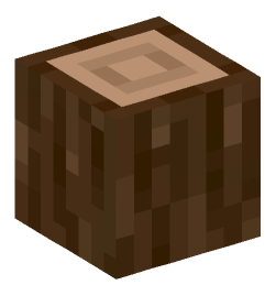 Minecraft head — Blocks