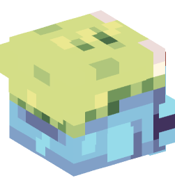 Minecraft head — People