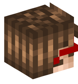 Minecraft head — People