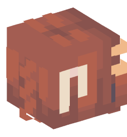 Minecraft head — People