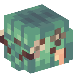 Minecraft head — People