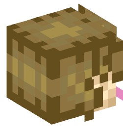 Minecraft head — People