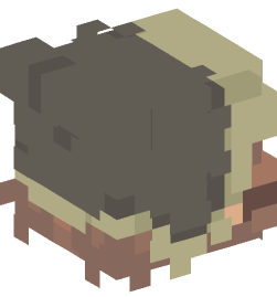 Minecraft head — People