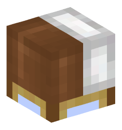 Minecraft head — Decor