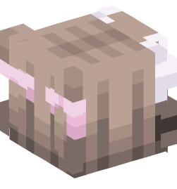 Minecraft head — People