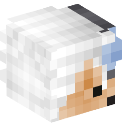 Minecraft head — People