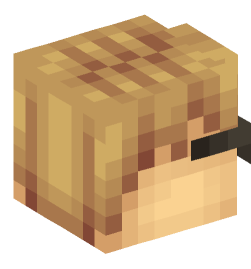 Minecraft head — People