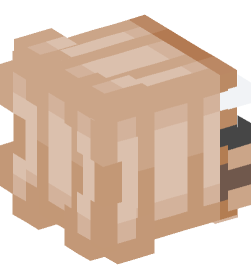 Minecraft head — People