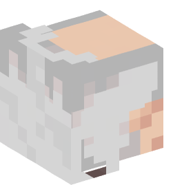 Minecraft head — People