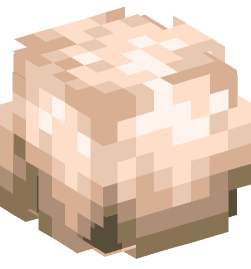 Minecraft head — Decor