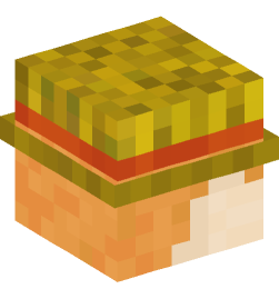 Minecraft head — People