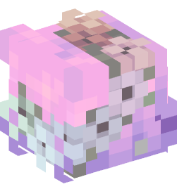 Minecraft head — People