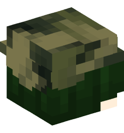 Minecraft head — People