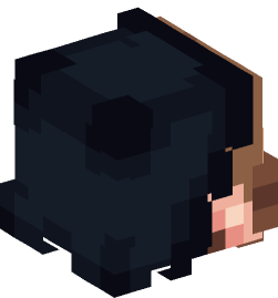 Minecraft head — People