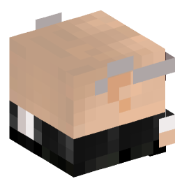 Minecraft head — Decor