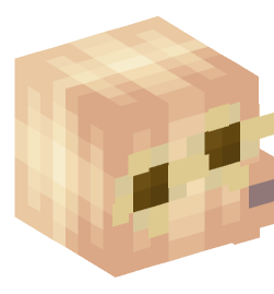 Minecraft head — People