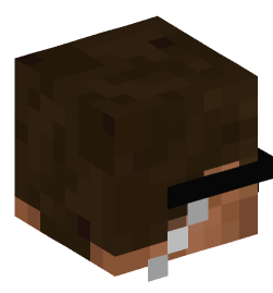 Minecraft head — People