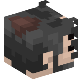 Minecraft head — People