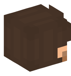 Minecraft head — People