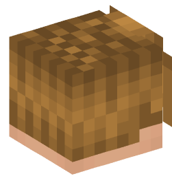 Minecraft head — People