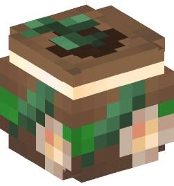 Minecraft head — Decor