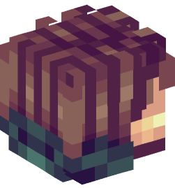 Minecraft head — People