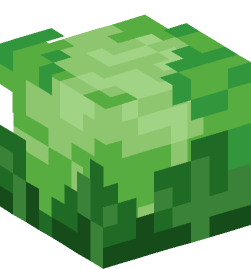 Minecraft head — Plants