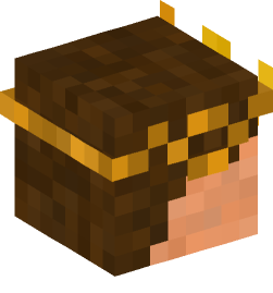 Minecraft head — People