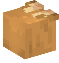 Minecraft head — Animals