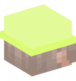 Minecraft head — People