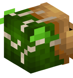 Minecraft head — People