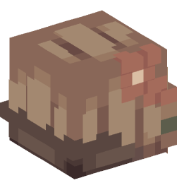 Minecraft head — People