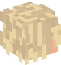 Minecraft head — People